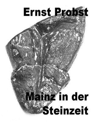 cover image of Mainz in der Steinzeit